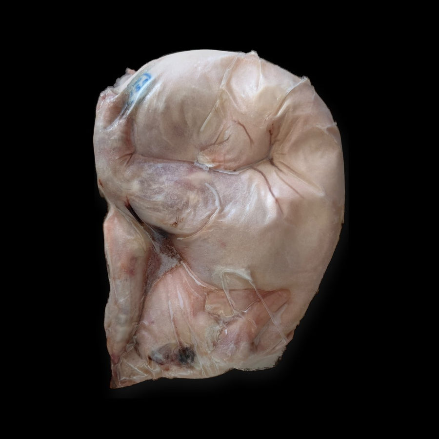 Cochinillo Lechal