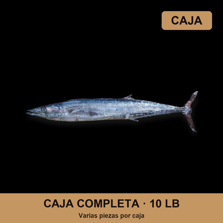 Caja Wahoo (10 lb)