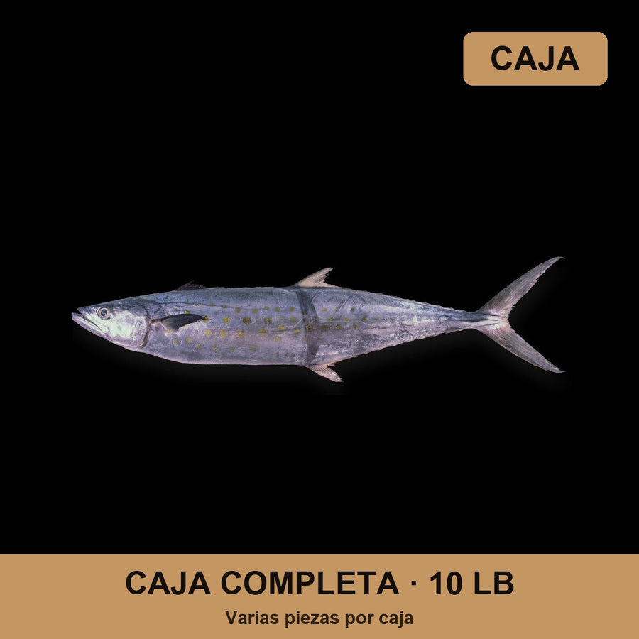 Caja Sierra (10 lb)