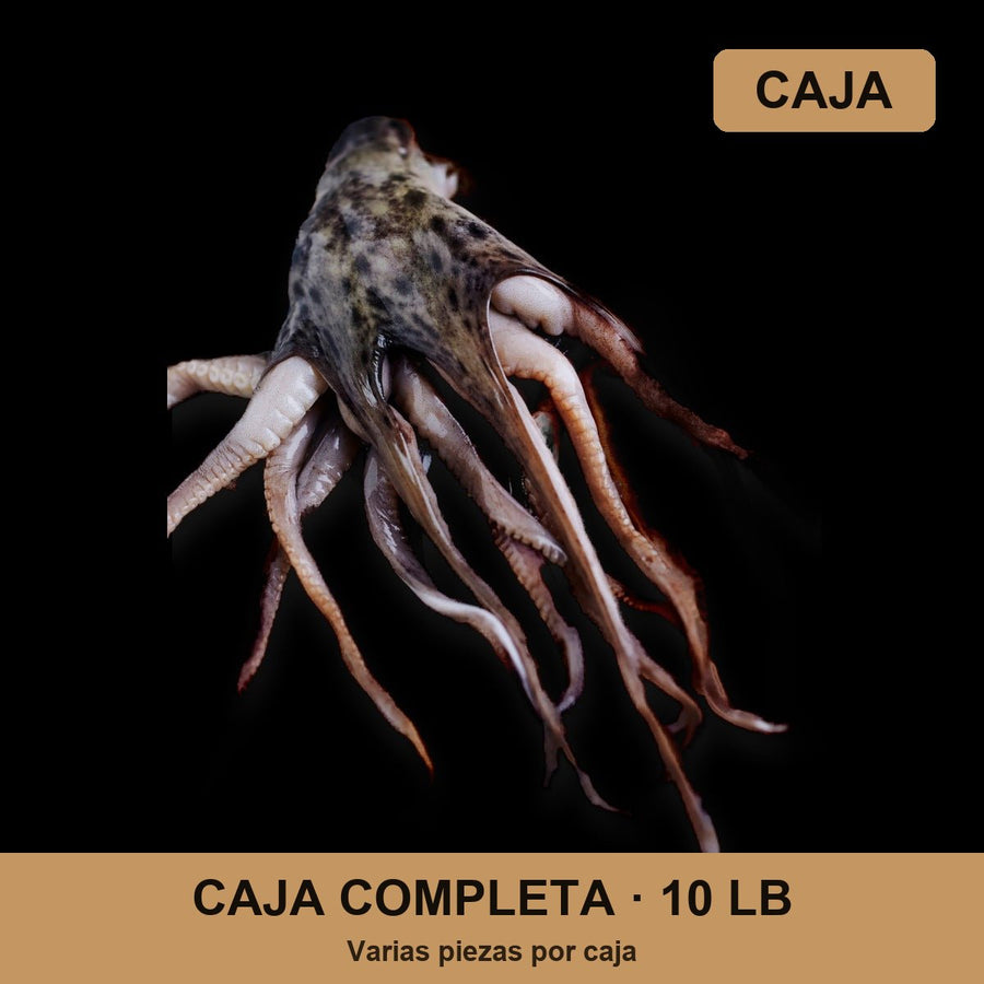 Caja Octopus (10 lb)